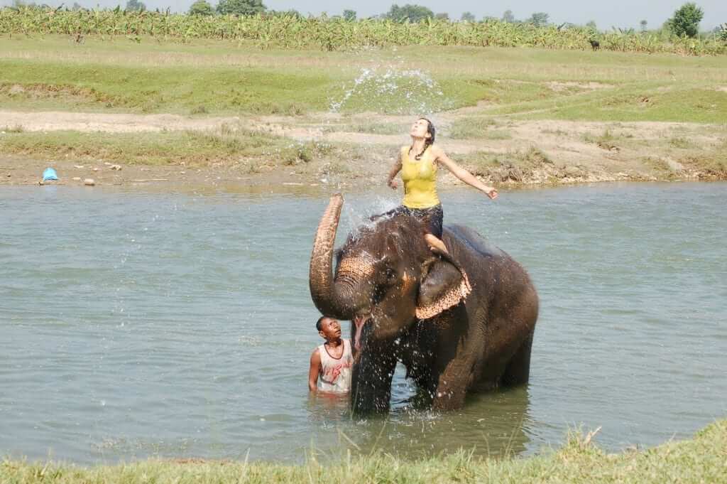 Nepal Bañar elefantes