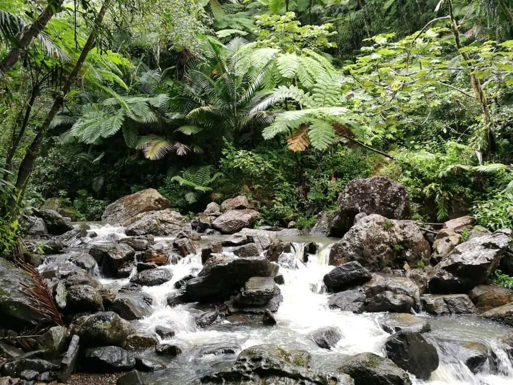 Viajar a Puerto Rico