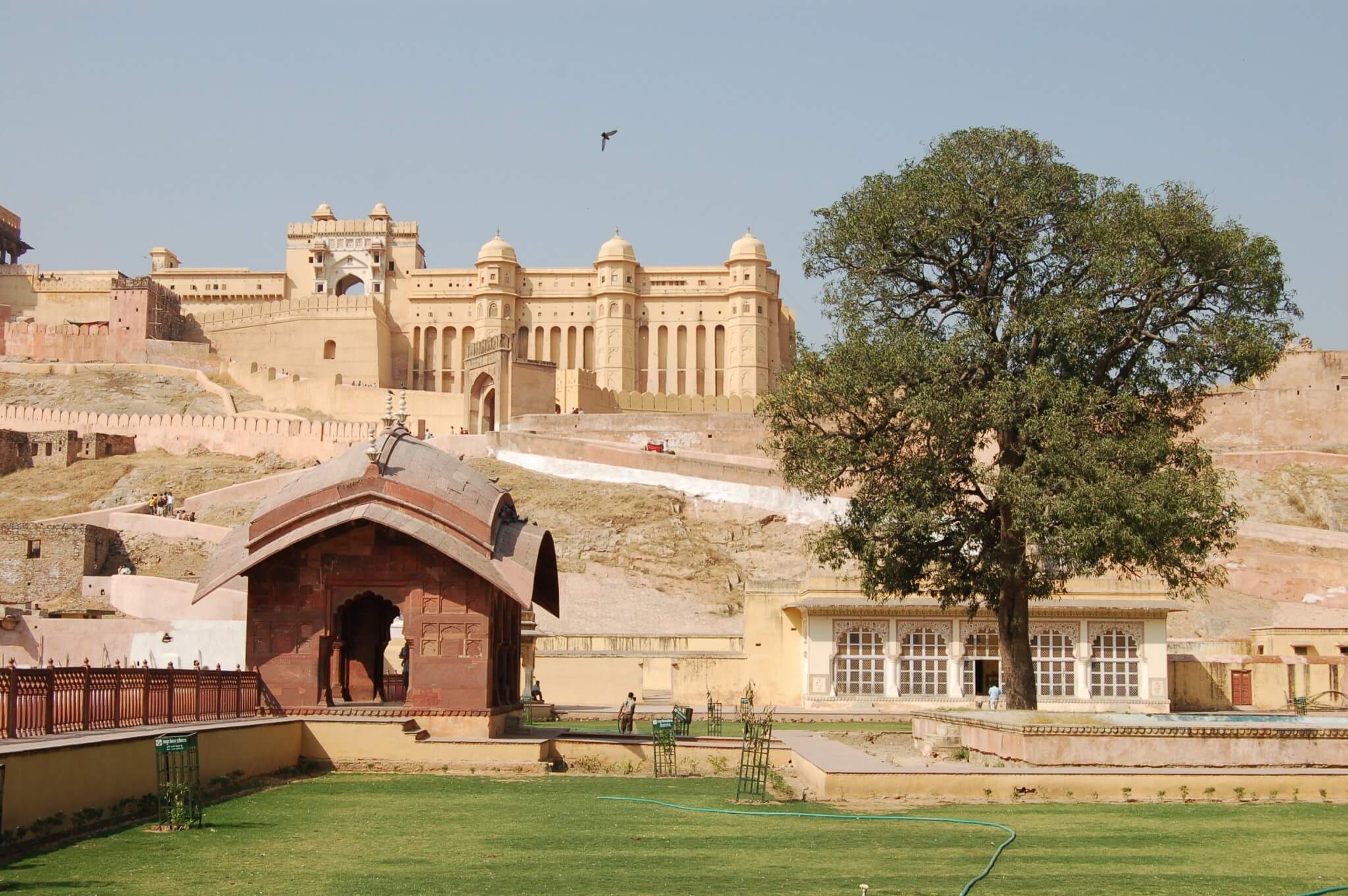 Jaipur Fuerte Amber
