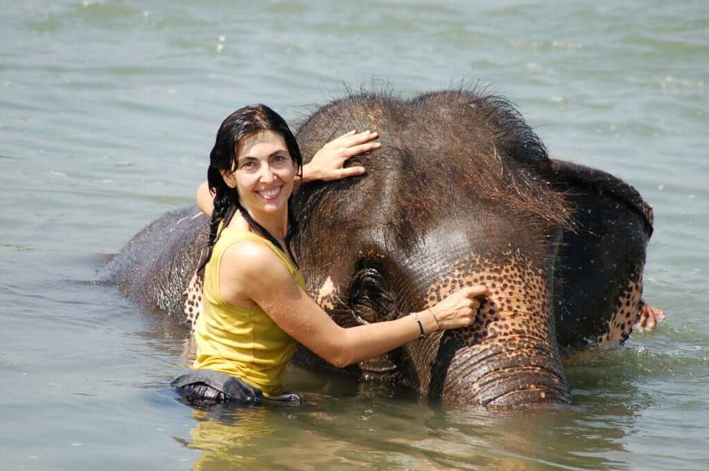 Bañar un elefante