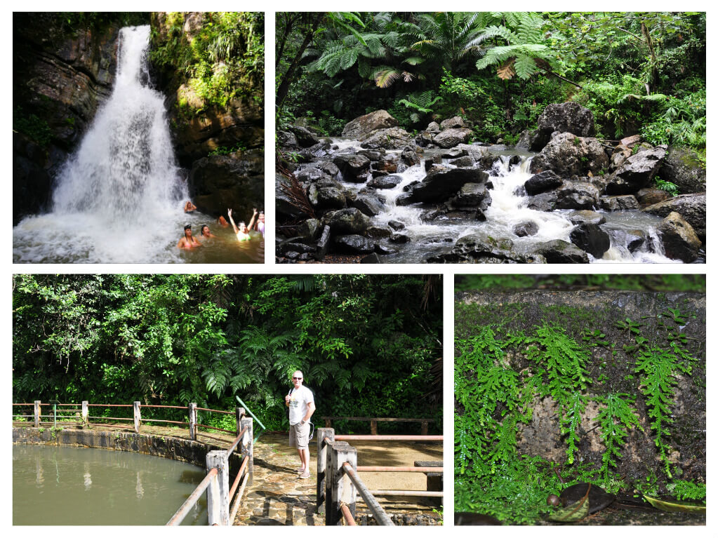 El Yunque