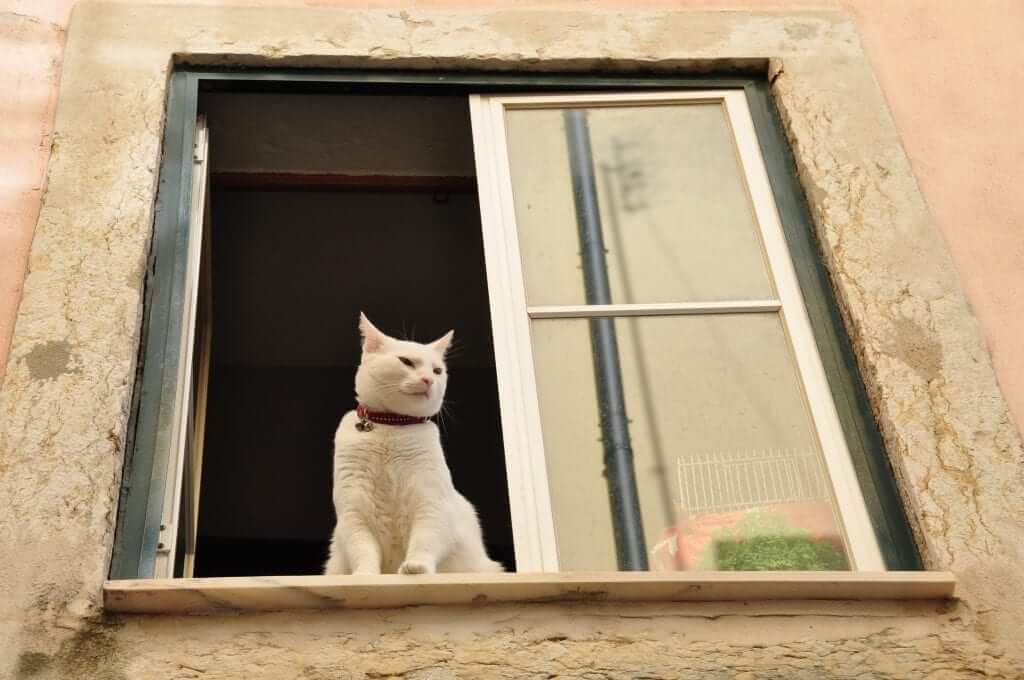 Barrios de Lisboa