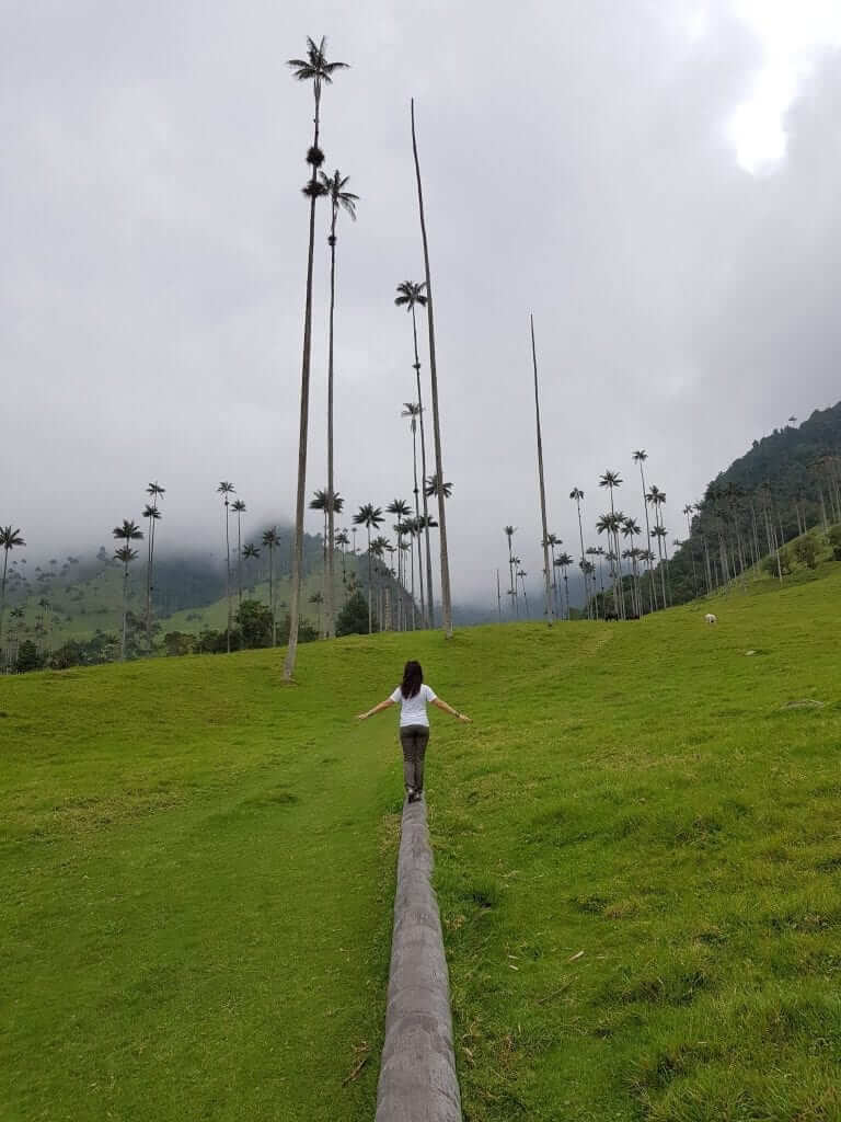 valle de Cocora, Colombia