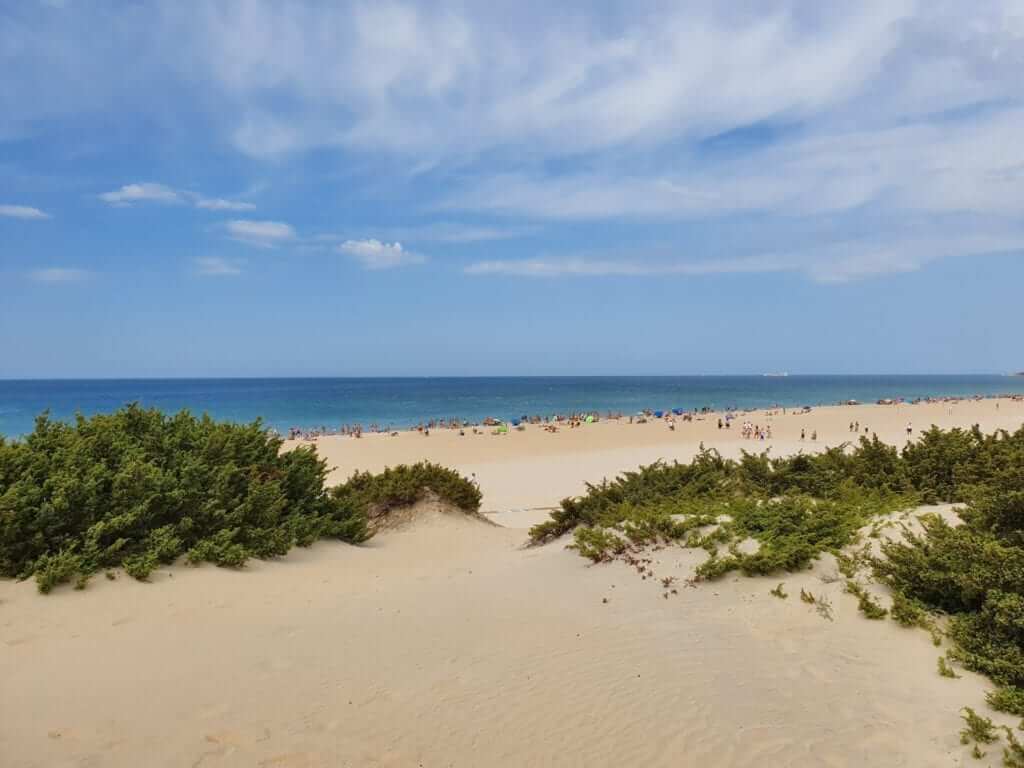 Playa de la Barrosa, la más
