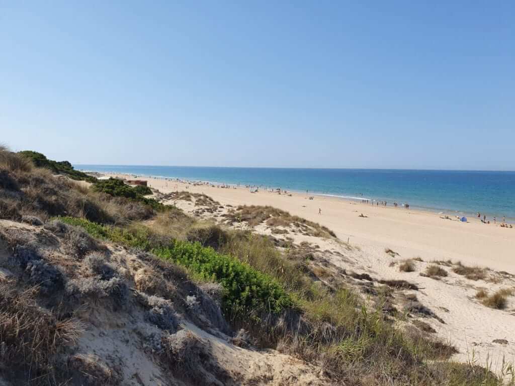 Playa de la Barrosa, la más