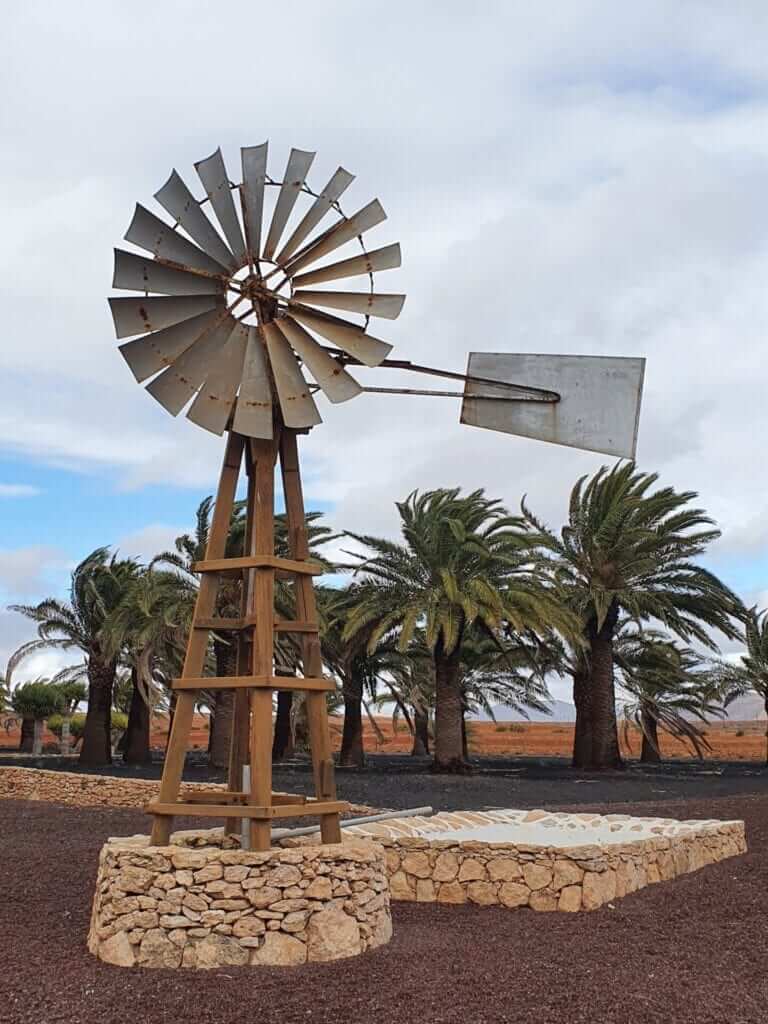 qué ver en fuerteventura