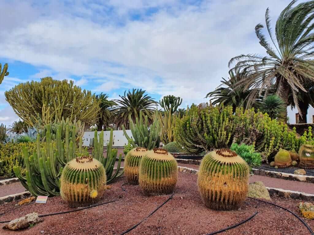 qué ver en Fuerteventura