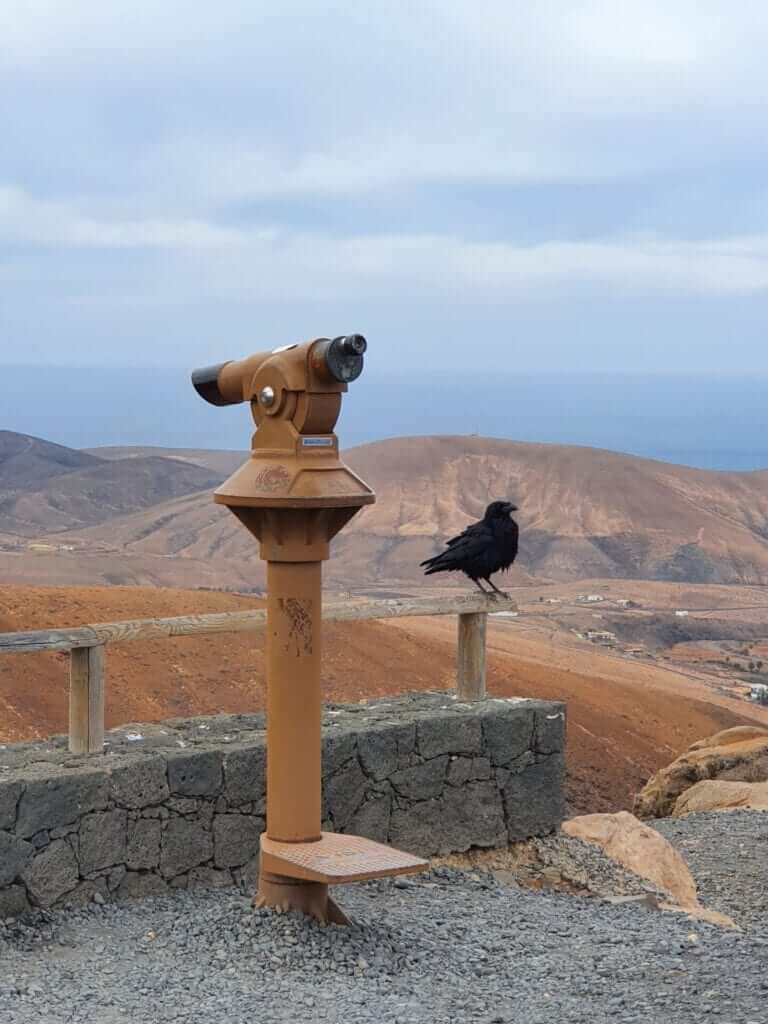 qué ver en Fuerteventura